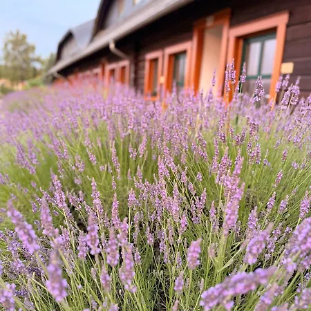 Seehotel Burg Spreewald